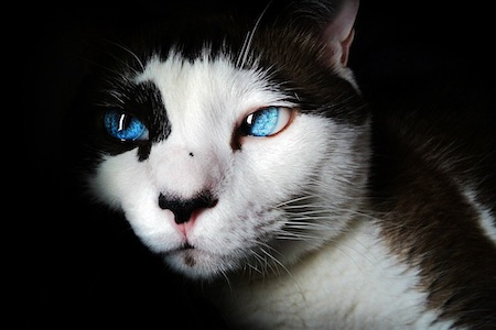 メイン画像 【注目】中小企業向け2020年に使える補助金を簡単に紹介